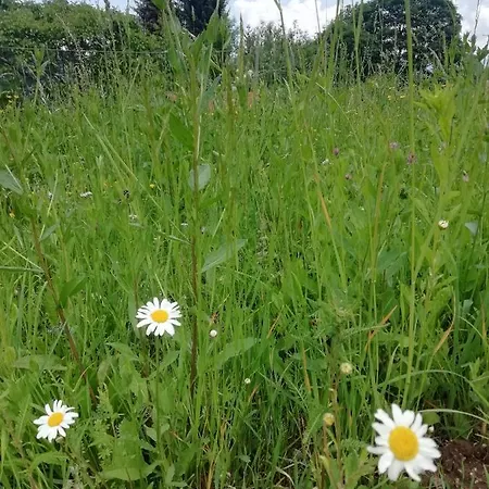 Lägenhet Tessa Bellagio