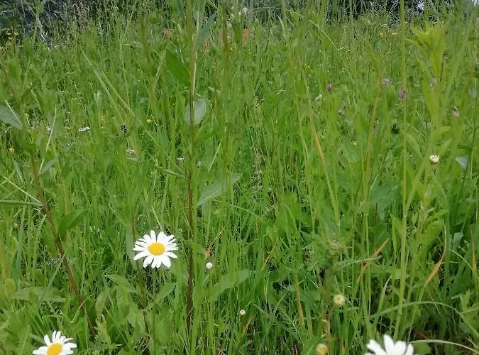 Апартаменты Tessa Белладжо