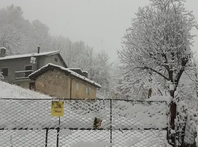 Tessa Белладжо